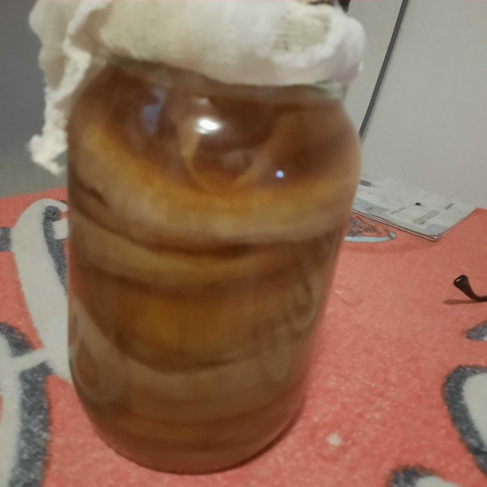 Zdrowy grzybek herbaciany kombucha