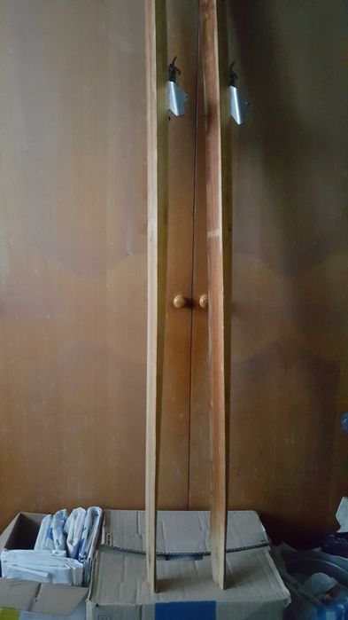 Лыжи беговые спорт