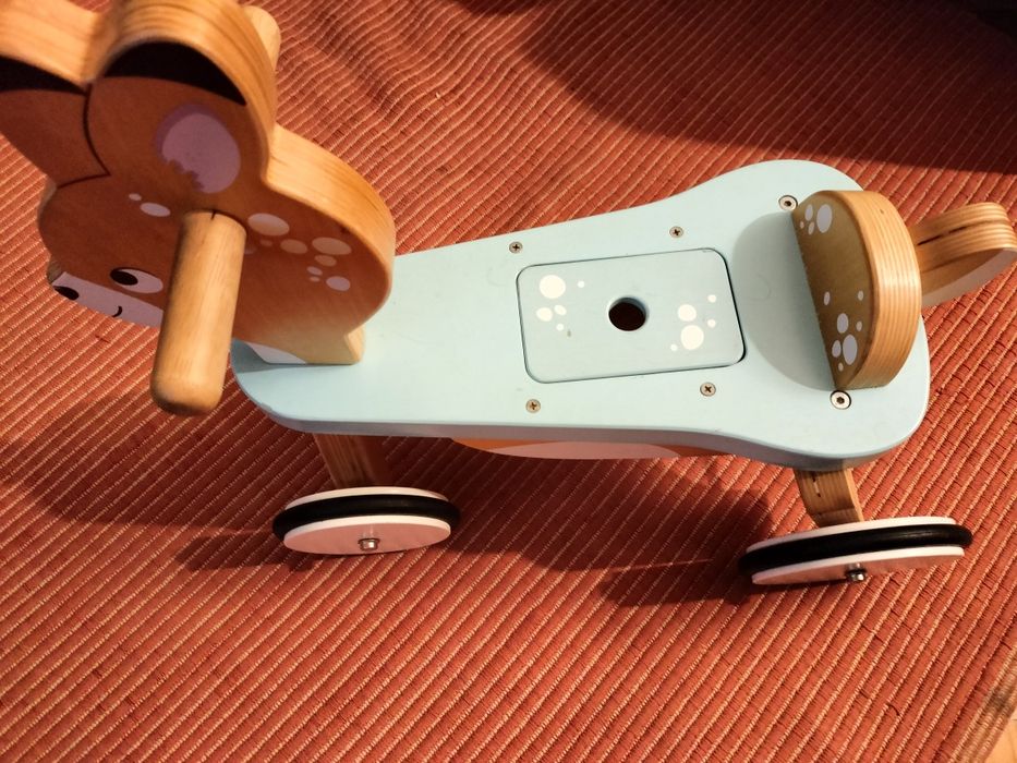 Rena - Triciclo sem pedais