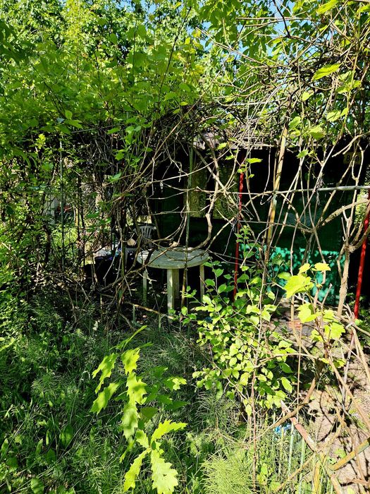 Działka ROD, im. Adama Mickiewicza, Warzywna 5, Pabianice 400 m² - Widok 2