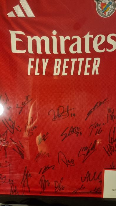 Camisola oficial do benfica  toda assinada  e com certificado.