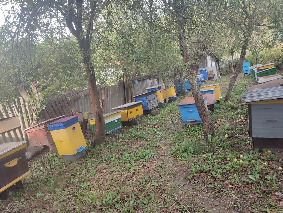 Продам домік для бджільництва