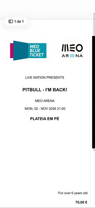 Bilhete concerto do pitbull, plateia em pé