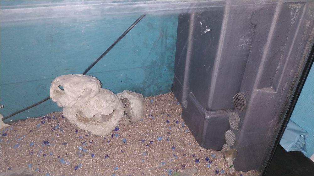 Vende-se Aquário grande