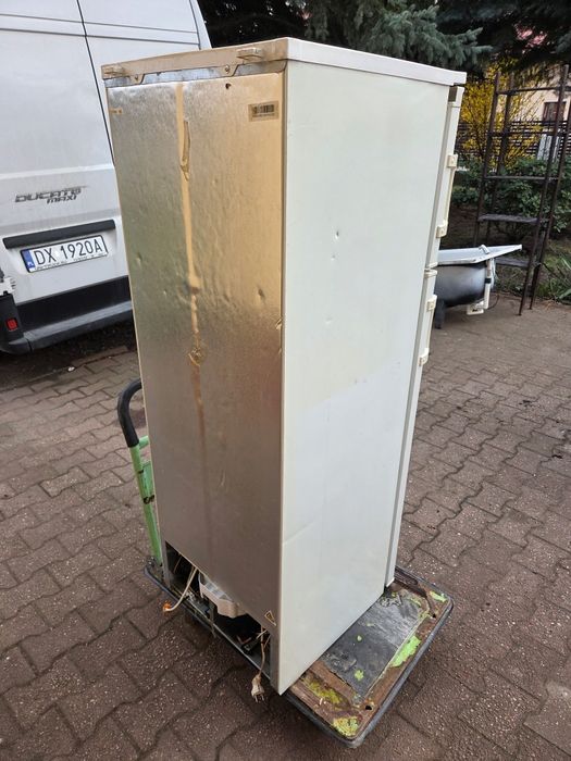 Lodówka firmy Amica