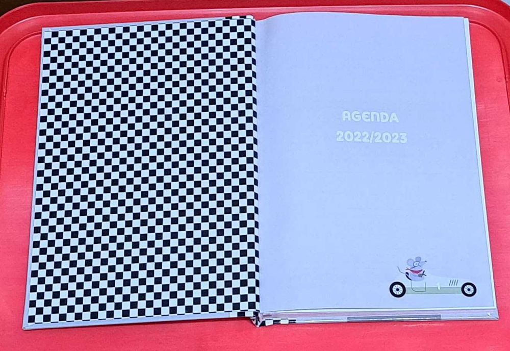 Agendas de bolso