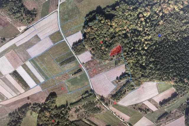 Działki gruntowe niezabudowane- Dylągówka