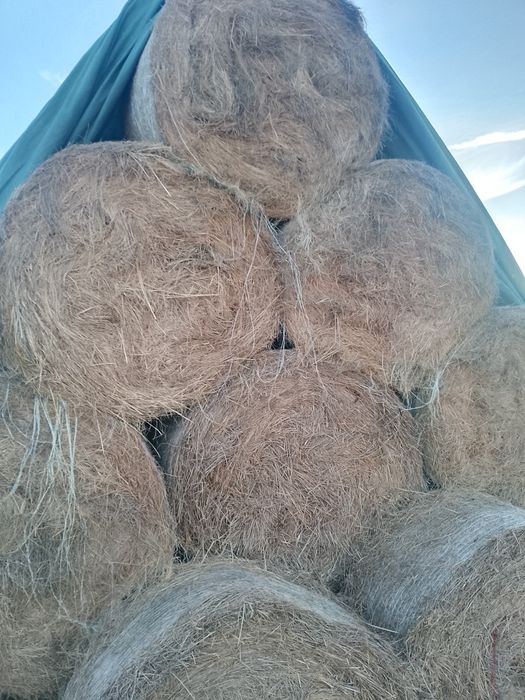 Sprzedam Siano i słoma