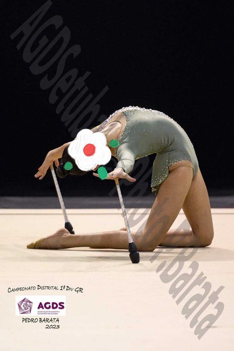 Fato de Ginástica Rítmica l- COMO NOVO