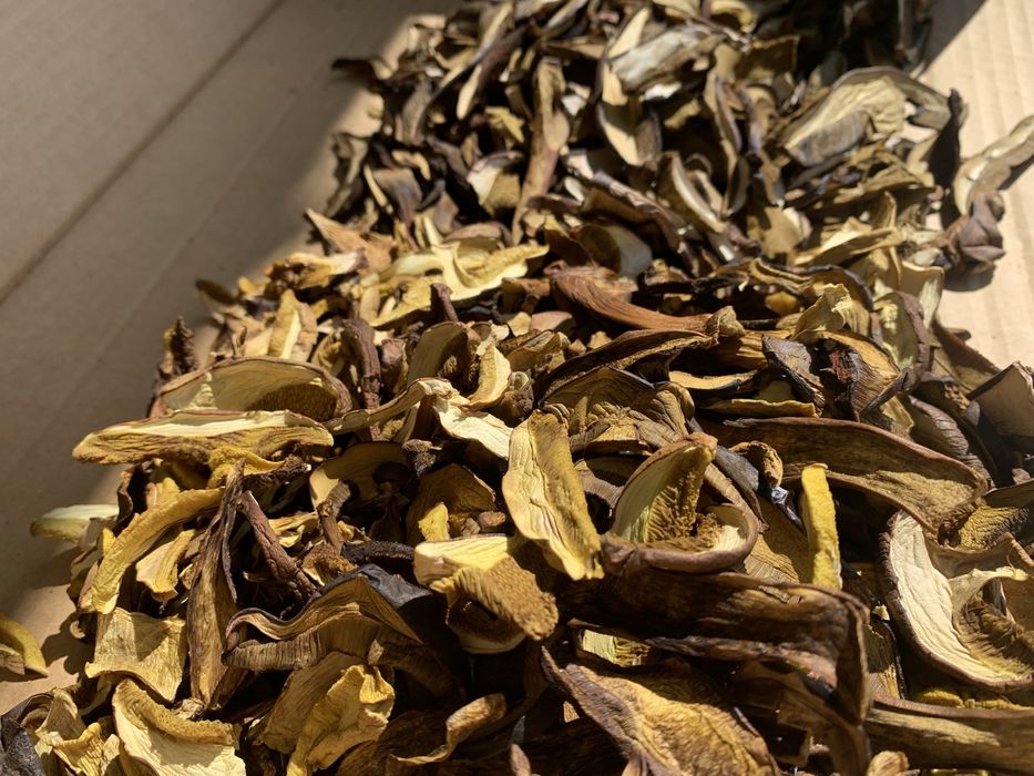 Grzyby susz borowik i podgrzybek