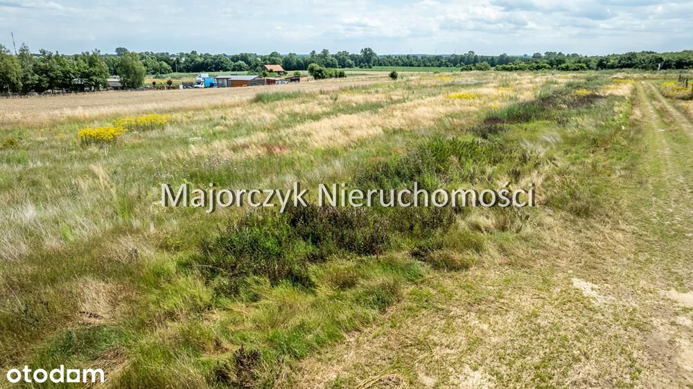 Działki budowlane Błotnica / Radomierz