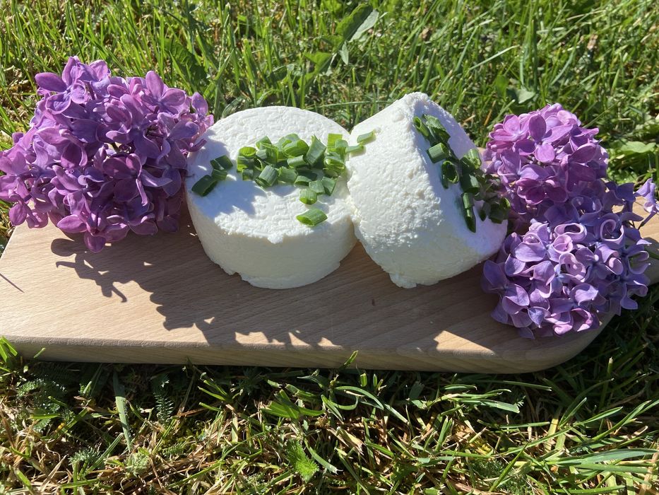 Mleko, twarog, sery swieże od gospodarza