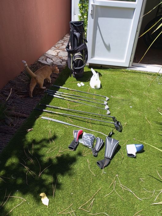 Conjunto de golf