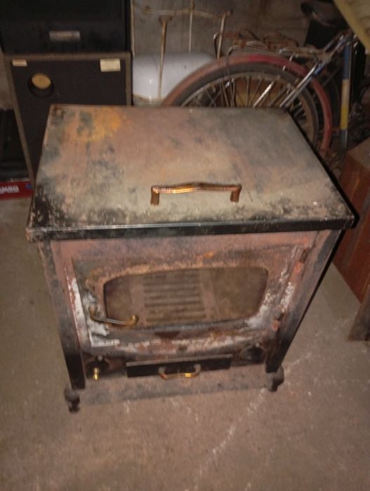 Vendo esta salamandra muita bonita