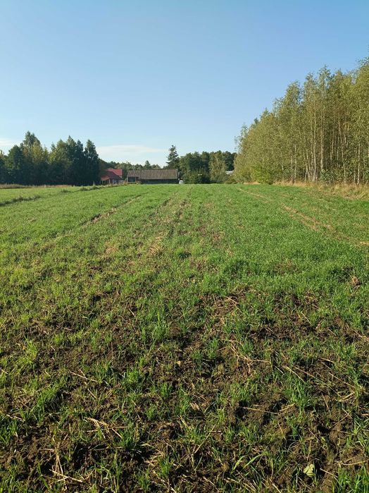 Działka do sprzedania