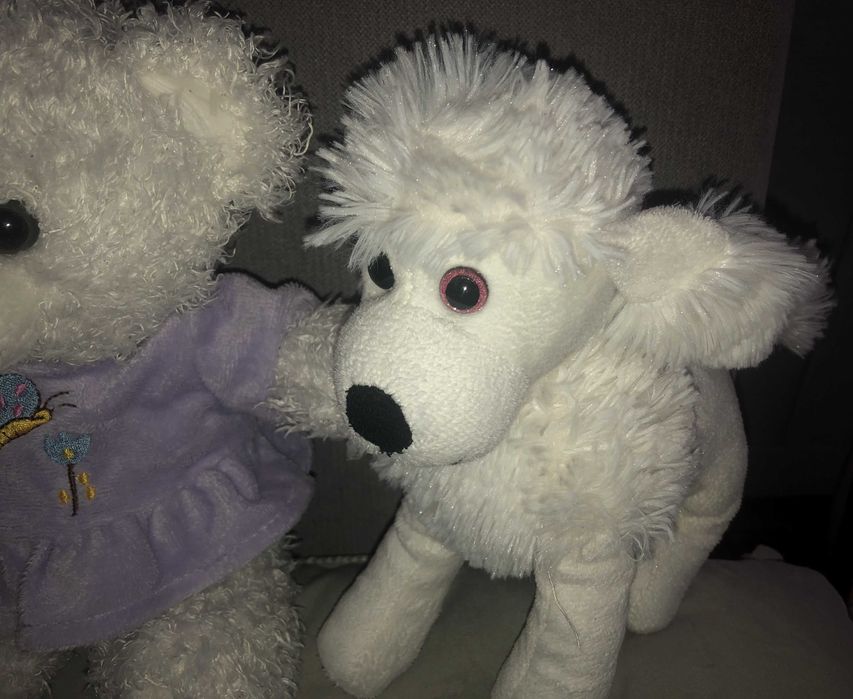 Pluszaki miś i pudelek 2 sztuki