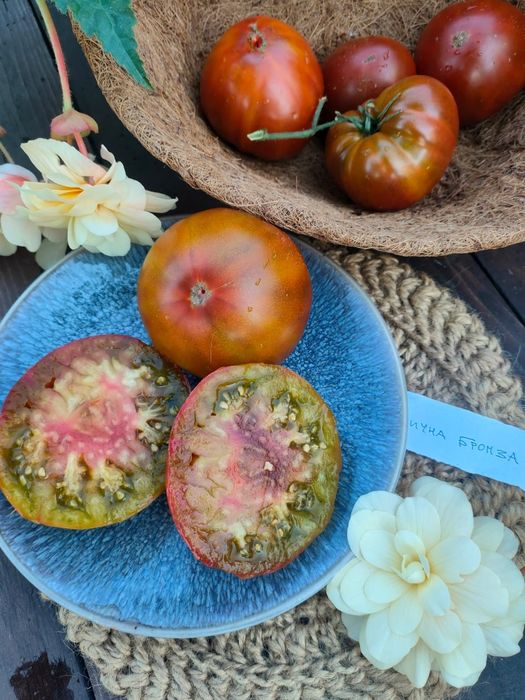 Набір насіння томатів "Український"