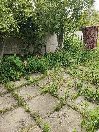 Сдам  актуальную отд.комнату в ч.дом. Б.Кротова.Платова