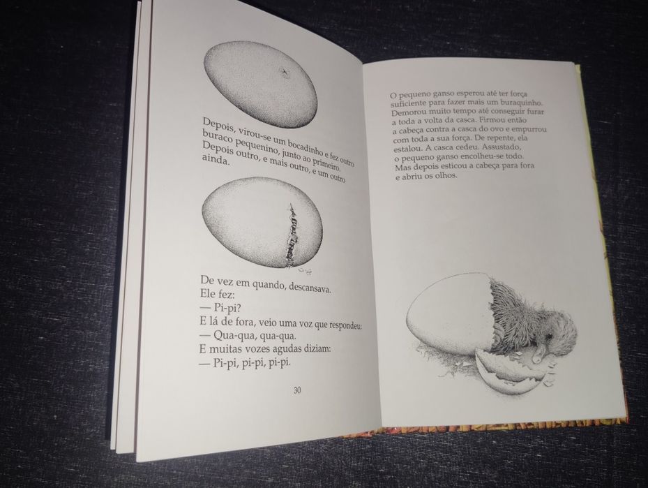 Livro A História do Pequeno Ganso Que Era Vagaroso Novo