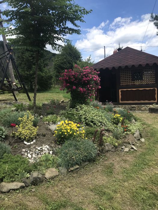 Котедж Явірницький