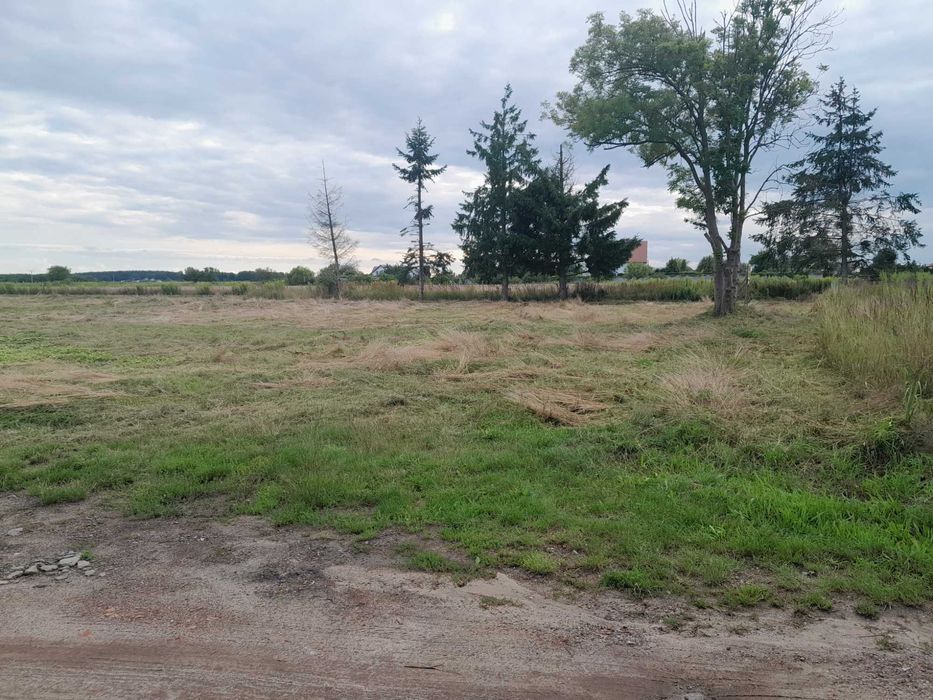 Działka budowlana - Dębno