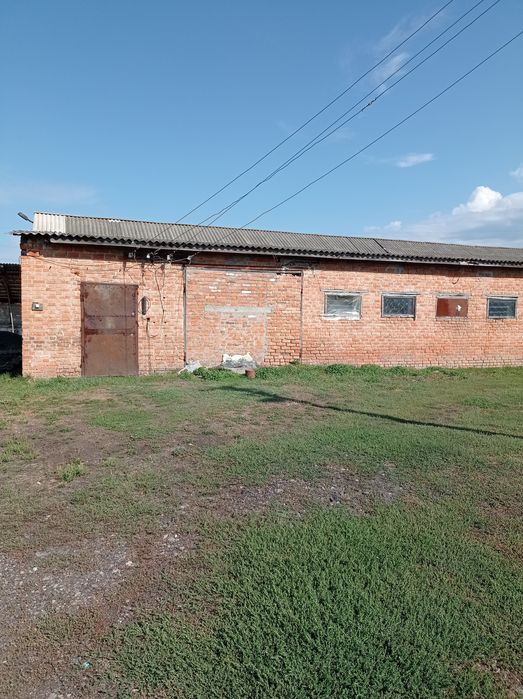 Продам СГ Товариство