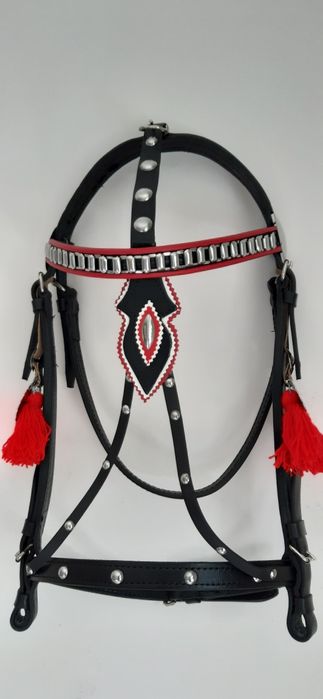 Oglowie kantar ozdobny