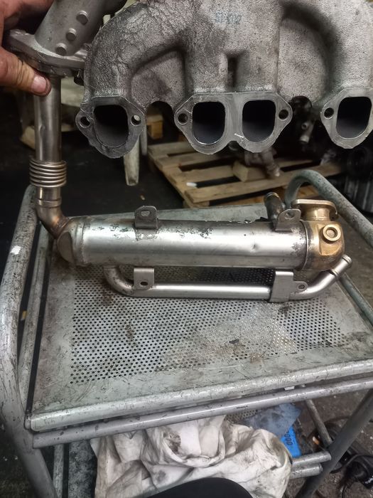 Chlodniczka spalin egr golf audi Passat skoda 2.0 tdi 1.9 tdi