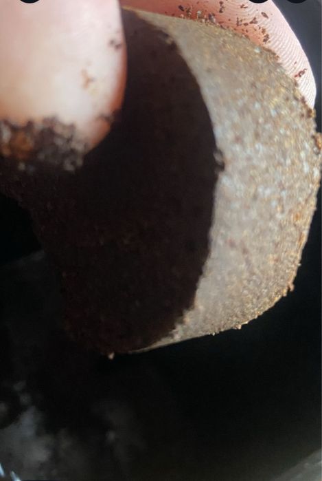 Кавомашина DeLonghі Magnifica Cappuccino  ECAM 23.460 з Дому