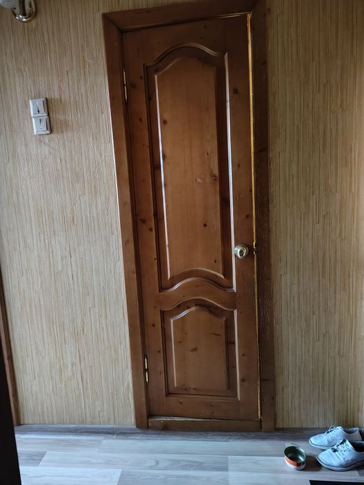 Двері дерев'яні ( 2- шт )