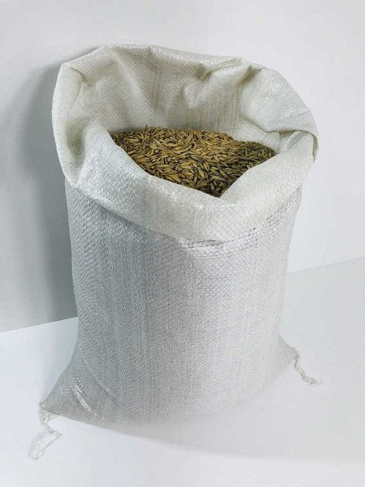 Owies Bezłuskowy Siewny Jary Owies Nagi Owsik 20 KG
