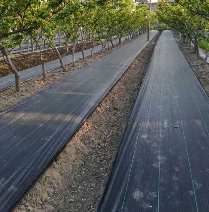 Agrotkanina 4 m x 25 m Gruba MOCNA Agrowłóknina