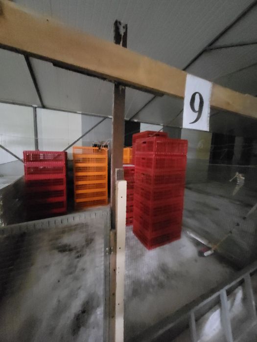 Продаж ферм. господарства 500 м.кв.