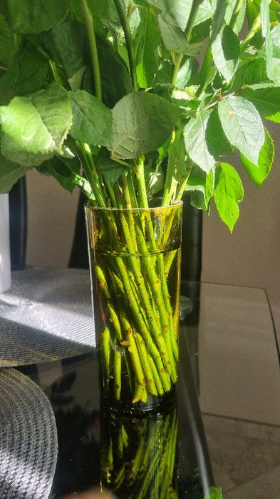 Скляні органайзайзери, вази, стакани