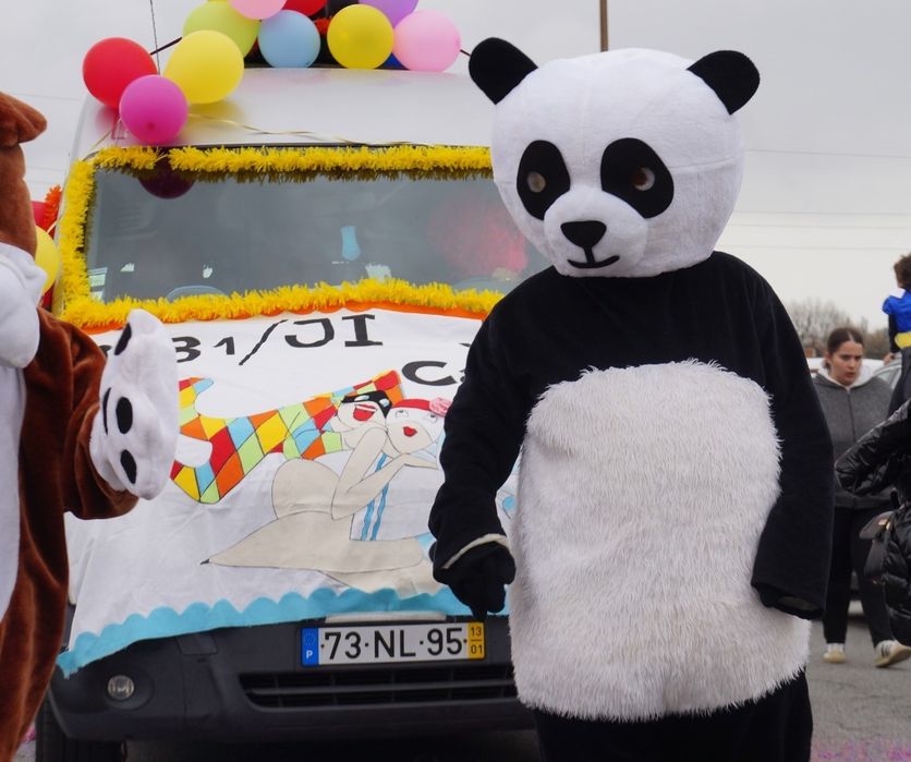 Panda / Mickey / Cão - mascotes de adulto