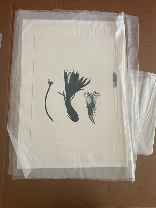 Serigrafia Grande Herbário de Sombras - Lourdes Castro 1972