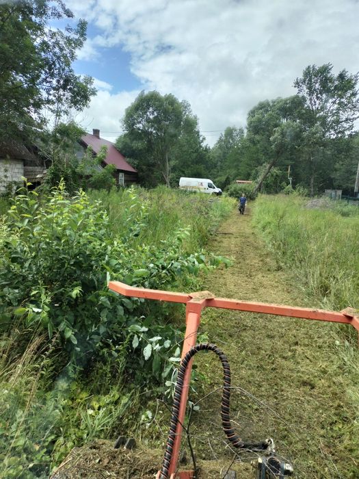 Mulczer leśny- usługi koszenia