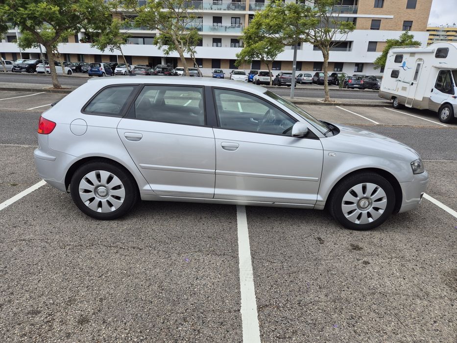 Audi A3 8P 2.0 TDI