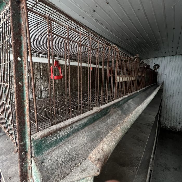 Клітка для вирощування курчат. Самовивіз!