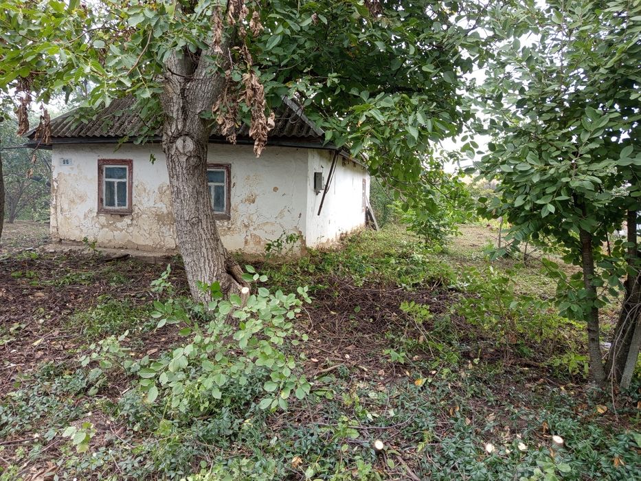 Продам старий будинок біля ставка