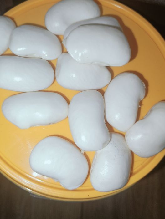 Fasola piękny Jaś mokry