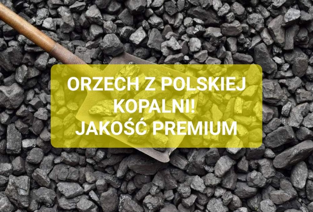 Orzech węgiel 28mj Staszic Polski