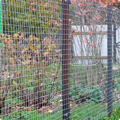 Сітка канільована, сітка рифлена в асортименті Сетка канилированная