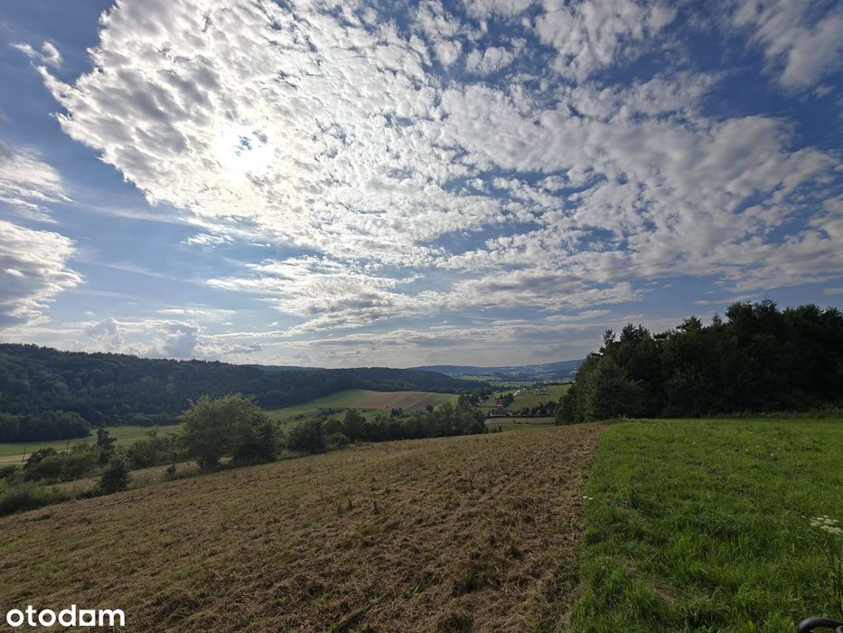Działka komercyjna 9221 m² blisko lasu i jeziora