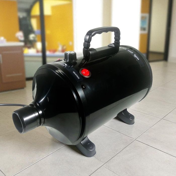 Secador de Cães e Gatos, Animais, profissional