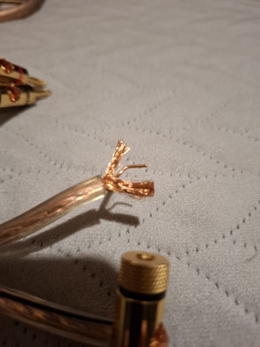 Przewody głośnikowe OFC 99,96 PROFIGOLD