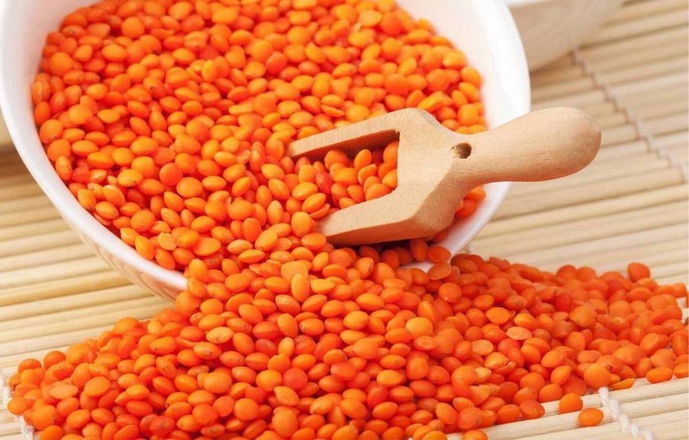 Червона сочевиця. Чечевиця крупа. Відбірна, без сміття! Бобові