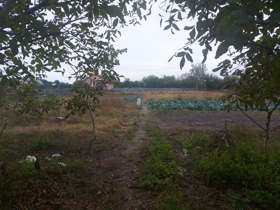 Продамо будинок у с. Веприк Фастівського району