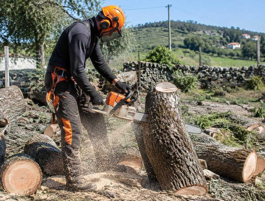 Limpeza de Terrenos e Desmatação | Lisboa e Arredores