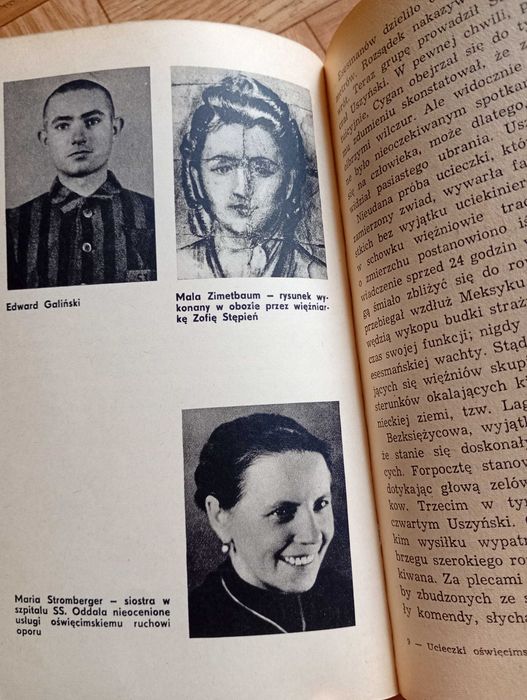 książka: ,,Ucieczki oświęcimskie"